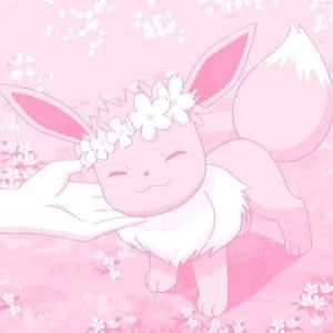 Meet your Posher, Seana